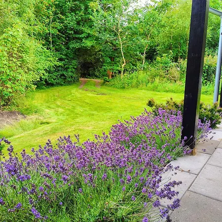 Vakantiehuis Cozy Steps From Lyngsbaek Ebeltoft